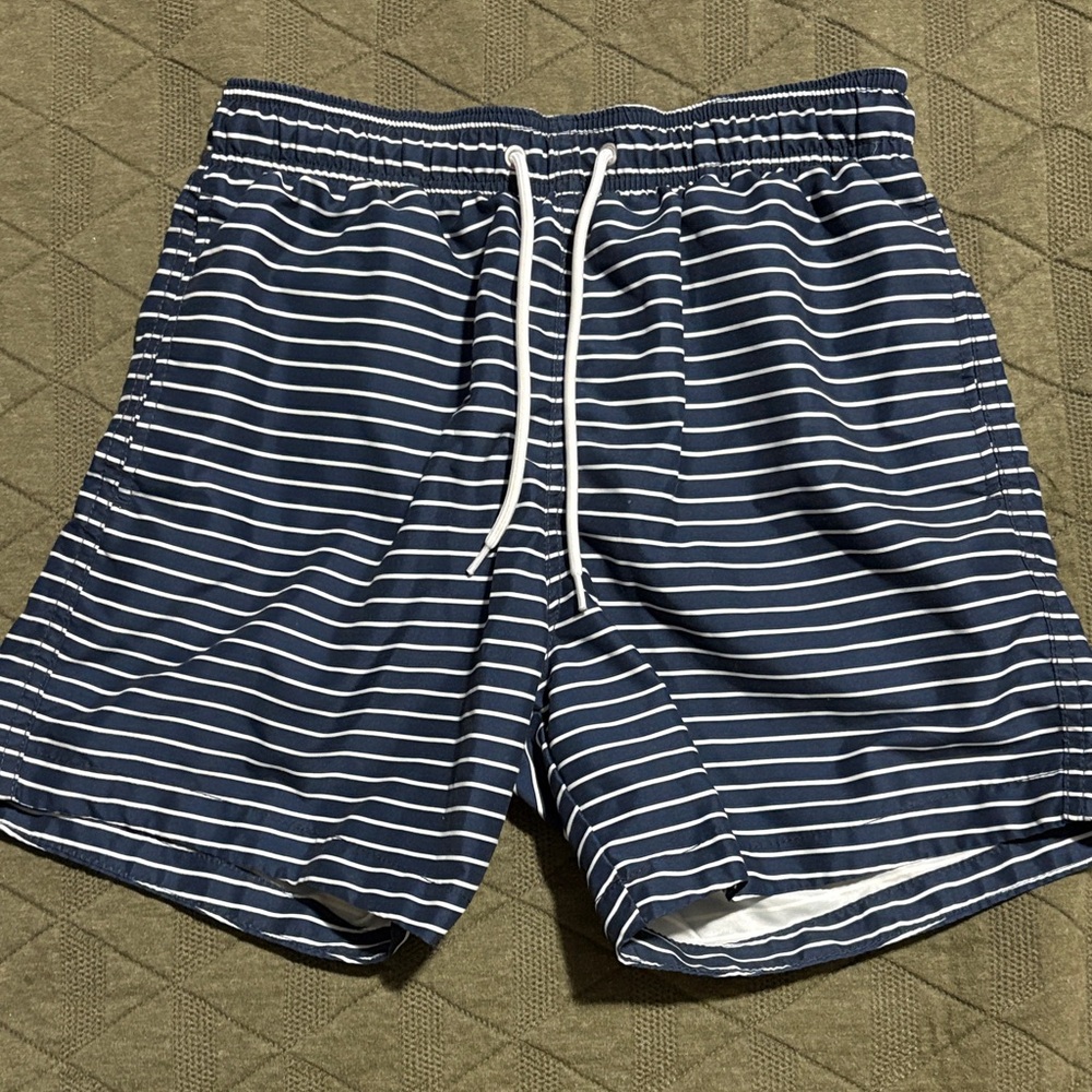 H&M Blue and White Striped Swim Trunks